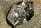 Herkimer Diamonds in Matrix - The Ace of Diamonds Mine, New York #324507-2